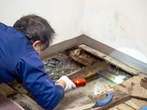 Best Post-Remediation Services in Langston, OK