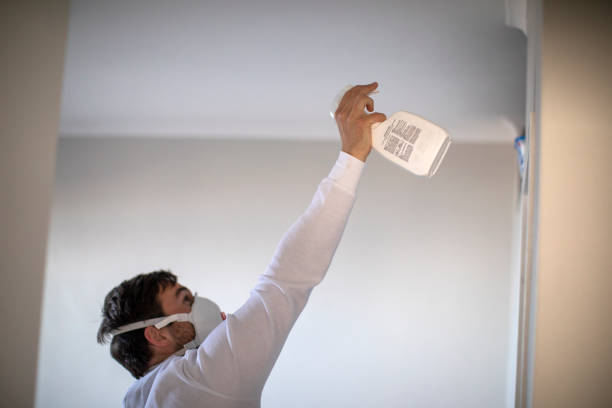 Best Insurance-Related Mold Remediation in Langston, OK