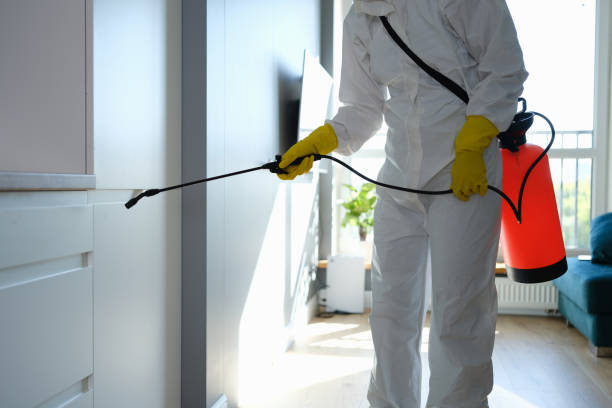 Trusted Langston, OK Mold Remediation Experts