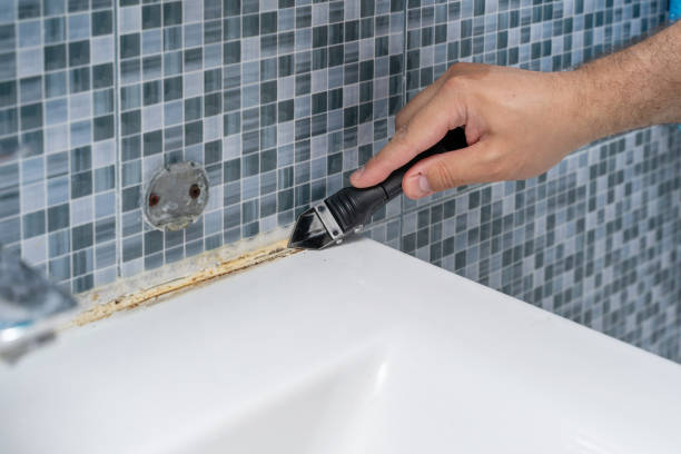 Best Bathroom Mold Remediation in Langston, OK