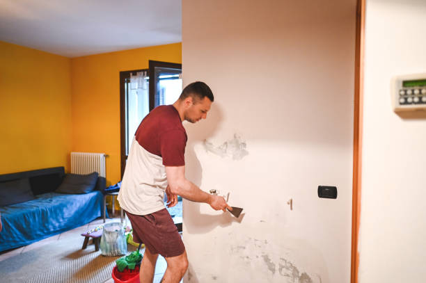 Best Health and Safety Mold Remediation in Langston, OK