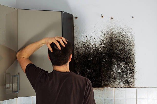 Best Residential Mold Remediation in Langston, OK